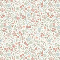 dsStella-D3613 Whisper